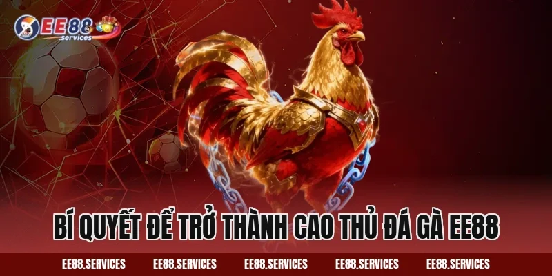 Bí quyết để trở thành cao thủ Đá Gà EE88