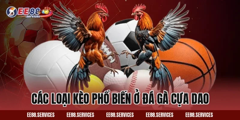 Các loại kèo phổ biến ở Đá Gà Cựa Dao