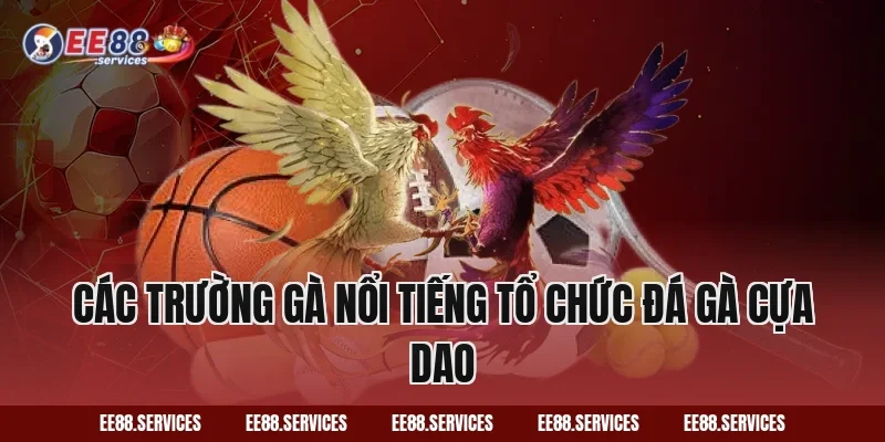 Các trường gà nổi tiếng tổ chức Đá Gà Cựa Dao