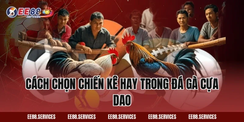 Cách chọn chiến kê hay trong Đá Gà Cựa Dao
