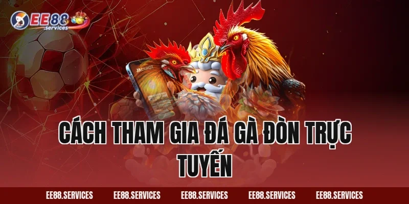 Cách tham gia Đá Gà Đòn trực tuyến