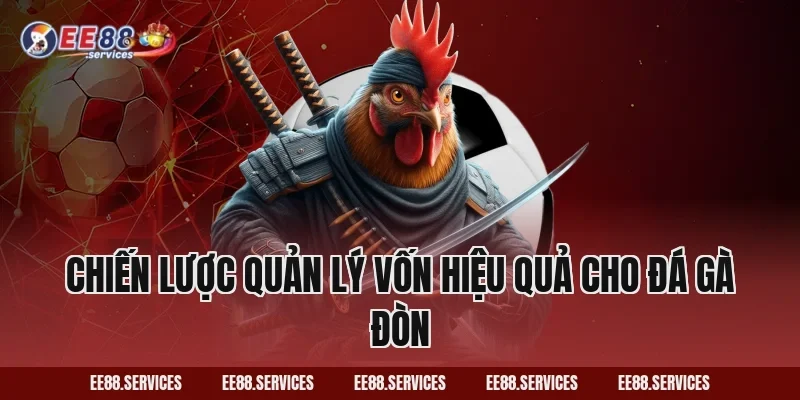 Chiến lược quản lý vốn hiệu quả cho Đá Gà Đòn