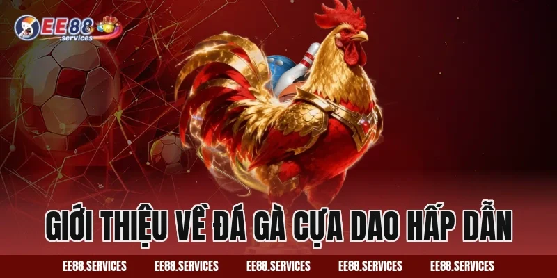 Giới thiệu về Đá Gà Cựa Dao hấp dẫn