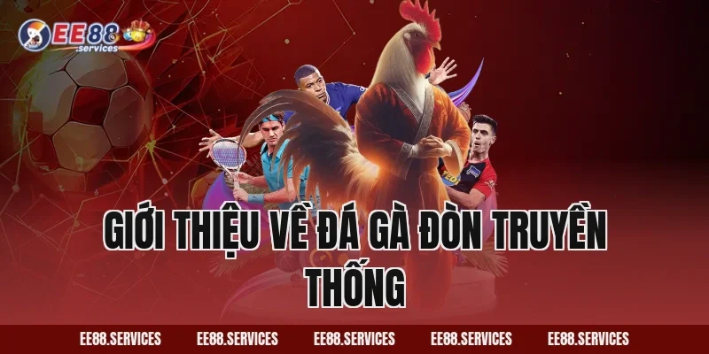 Giới thiệu về Đá Gà Đòn truyền thống