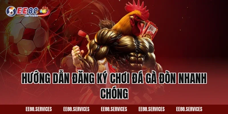 Hướng dẫn đăng ký chơi Đá Gà Đòn nhanh chóng