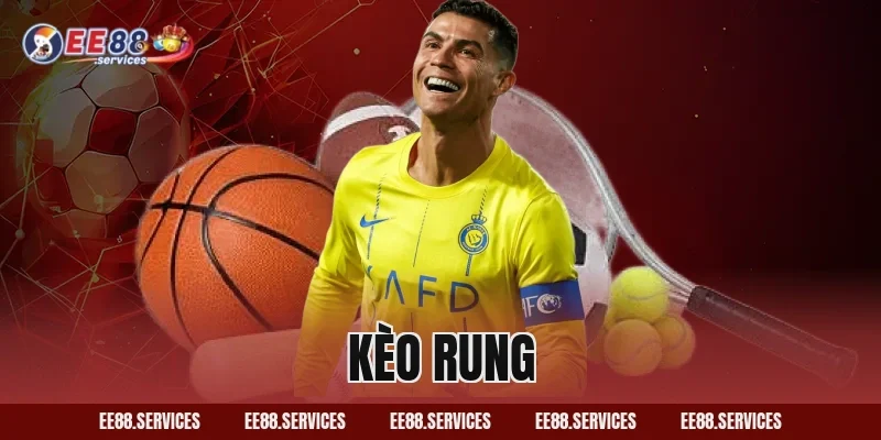 Bí Quyết Soi Kèo Rung Theo Giai Đoạn Đảm Bảo Thắng Lớn