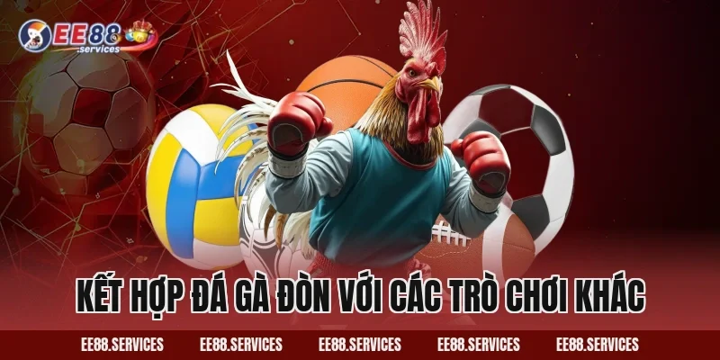 Kết hợp Đá Gà Đòn với các trò chơi khác