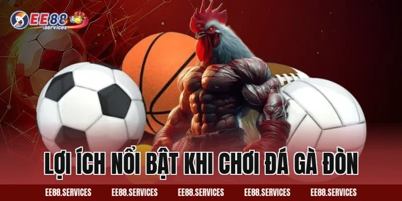 Lợi ích nổi bật khi chơi Đá Gà Đòn