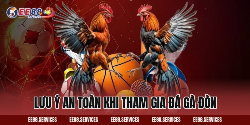 Lưu ý an toàn khi tham gia Đá Gà Đòn