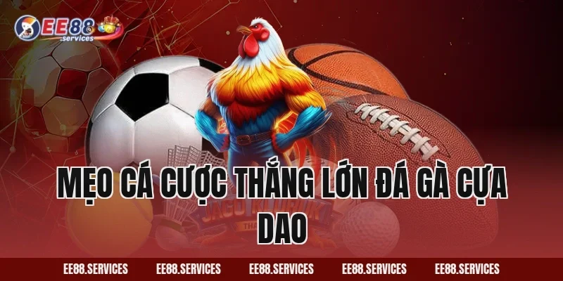 Mẹo cá cược thắng lớn Đá Gà Cựa Dao