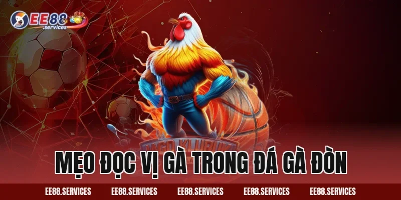 Mẹo đọc vị gà trong Đá Gà Đòn