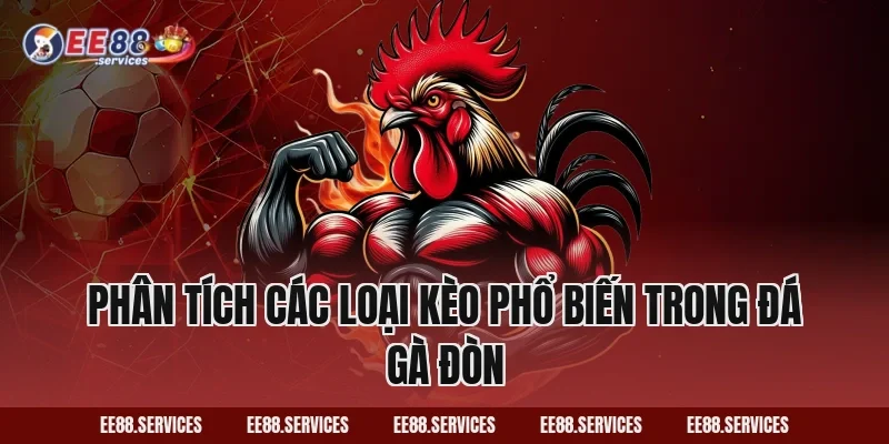 Phân tích các loại kèo phổ biến trong Đá Gà Đòn