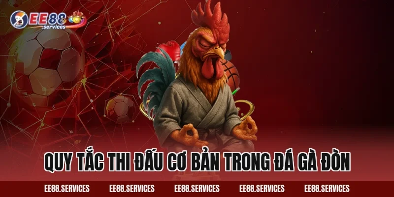 Quy tắc thi đấu cơ bản trong Đá Gà Đòn