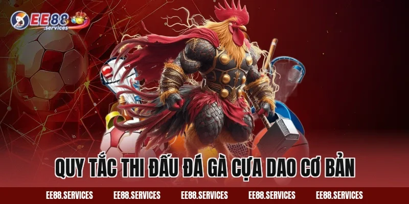 Quy tắc thi đấu Đá Gà Cựa Dao cơ bản