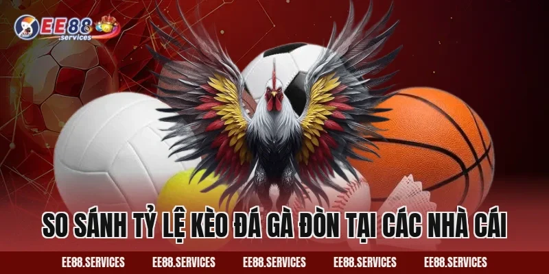 So sánh tỷ lệ kèo Đá Gà Đòn tại các nhà cái