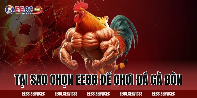 Tại sao chọn EE88 để chơi Đá Gà Đòn