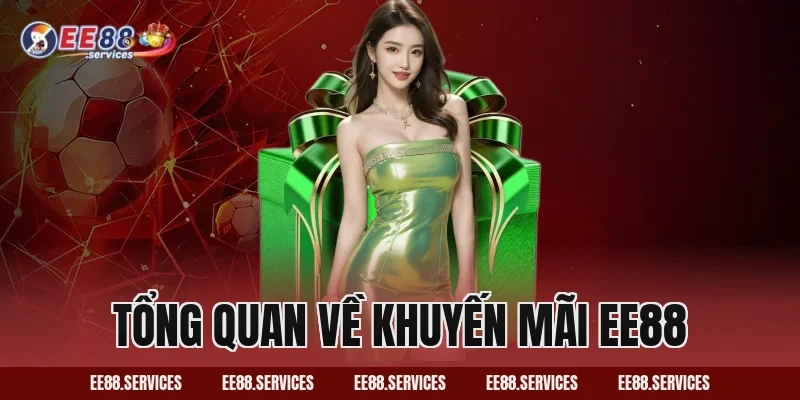 Tổng Quan Về Khuyến Mãi EE88