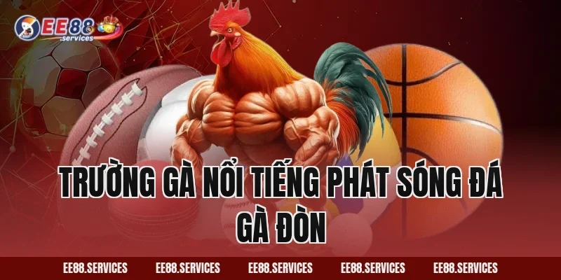 Trường gà nổi tiếng phát sóng Đá Gà Đòn