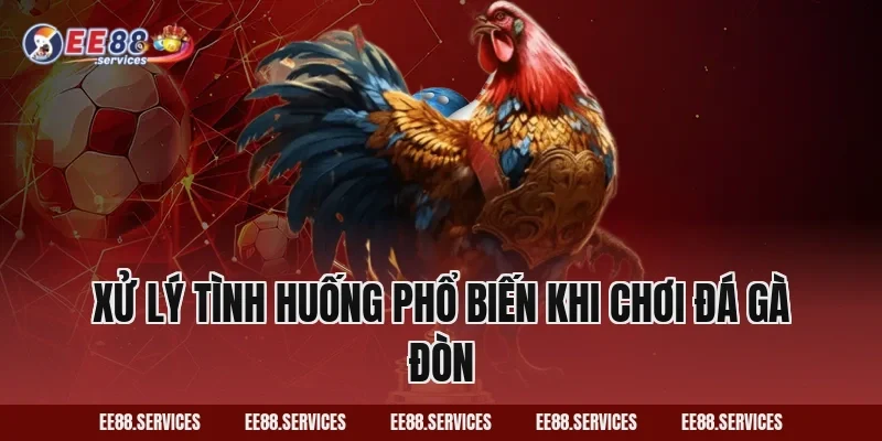 Xử lý tình huống phổ biến khi chơi Đá Gà Đòn
